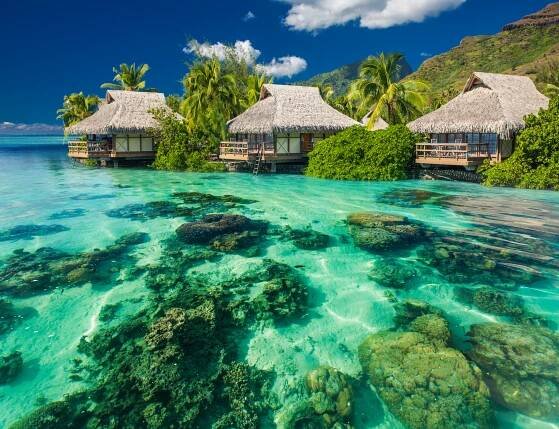 Find Cheap Flights to Tahiti in 2025/26