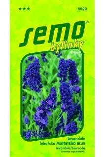 Semo Levandule lékařská Munstead blue 0,4g
