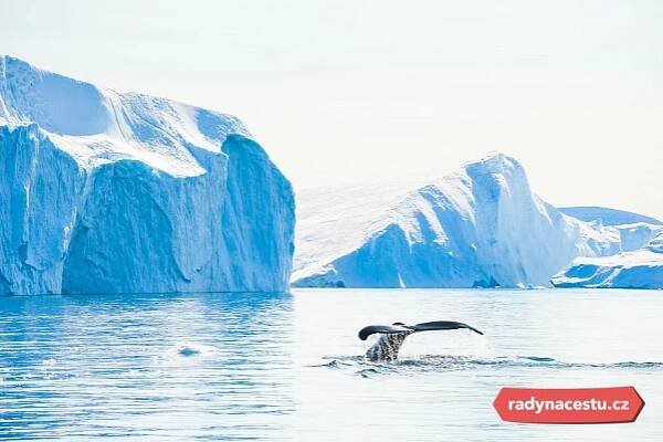 Zájezd | Zimní Grónsko + POLÁRNÍ ZÁŘE NAD FJORDEM + TRADIČNÍ JÍZDA PSÍM SPŘEŽENÍM | Radynacestu.cz