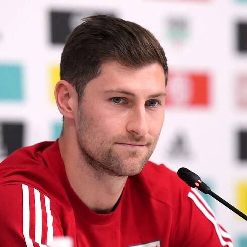 Captain Ben Davies hopes to bring a bit of Tottenham to Wales camp