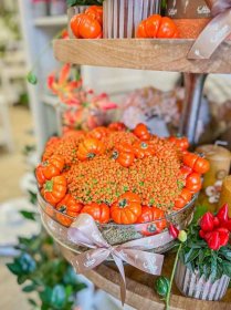 Kolekce | Podzimní kolekce 2022 | Květiny Petr Matuška Brno - dekorace, floristika, řezané květiny, svatební kytice