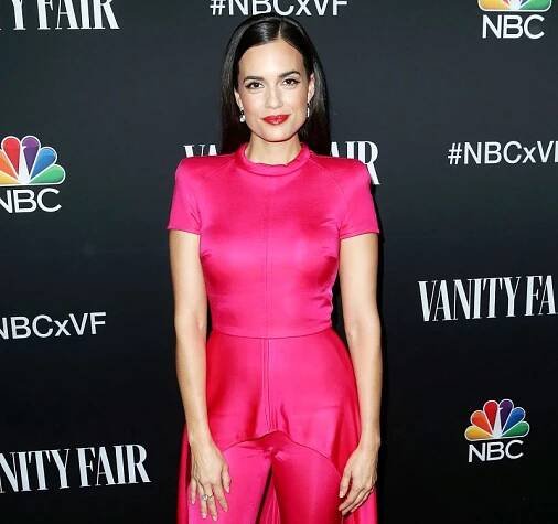Torrey DeVitto Shares Photo of Camera Shy Boyfriend After Going Instagram Official