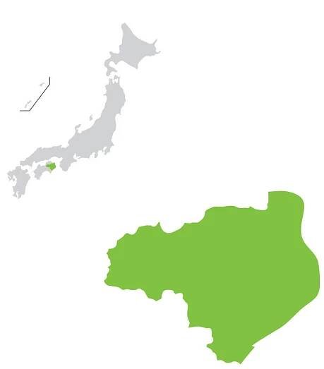 Tokushima | Statistics