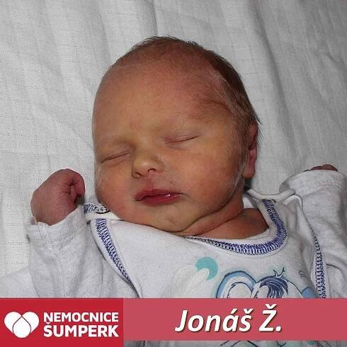 Jonáš Ž., Velké Losiny