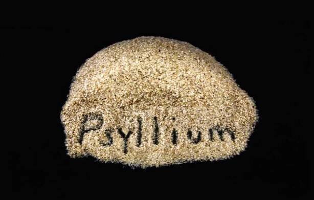 Co je to psyllium a jak opravdu pomáhá při hubnuti?