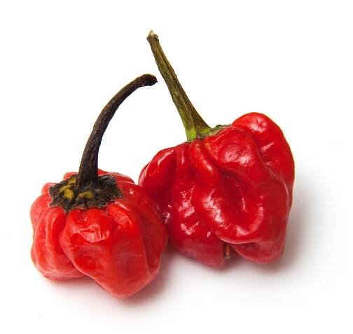 Scotch kapoty chili peppers — Stock obrázek
