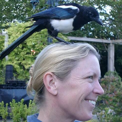 George A Magpie Memoir author on her parents Ted Hughes and Sylvia Plath