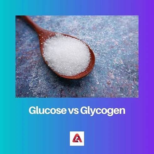 Glukóza vs glykogen: Rozdíl a srovnání