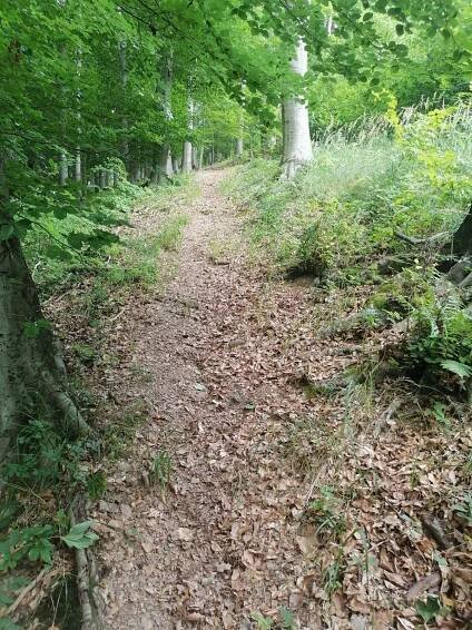 Zdena Trommler - Libhošťská hůrka (494 m) #2 - Vrcholovka.cz