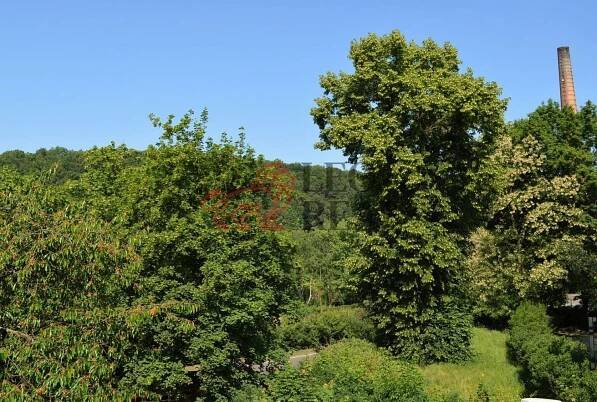 Prodej Byt 4+1, Josefův Důl, okres Mladá Boleslav