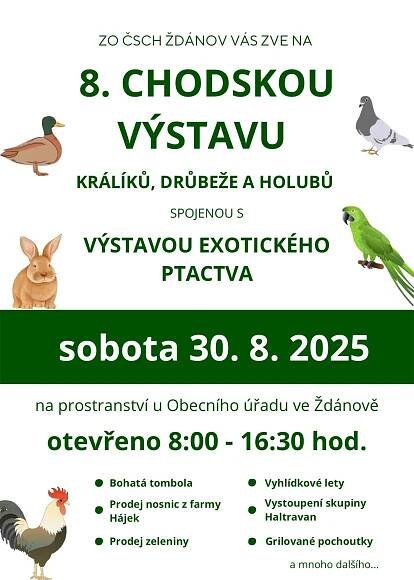 Hledáme chovatele papoušků na výstavu 🦜