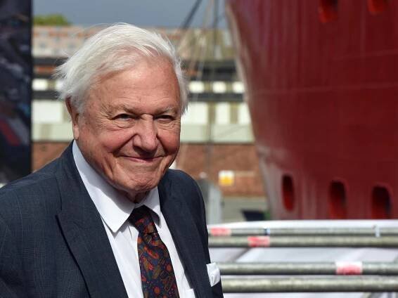 Sir David Attenborough quits Instagram after just two months