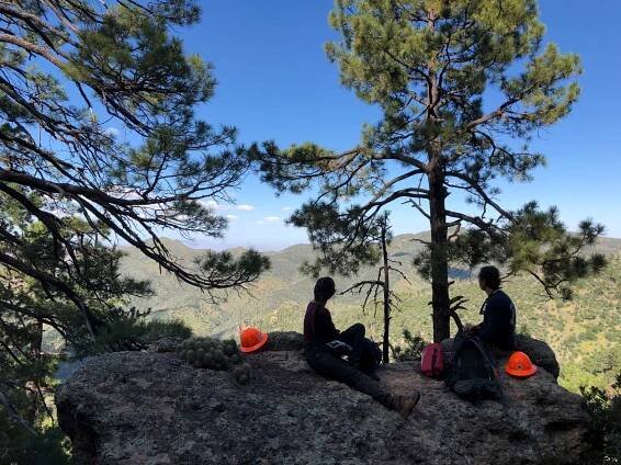 wild stew field crew update: Ida Peak in Chiricahua Mountains - Wild Arizona