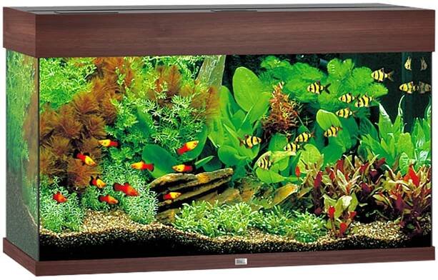 Akvárium Juwel Rio LED 125l tmavě hnědá