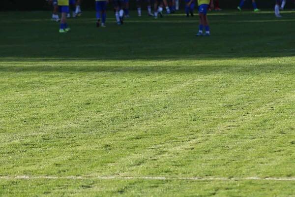 Fotbalisté FK Kozlovice porazili FK Nové Sady 1:0.