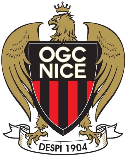 team logo