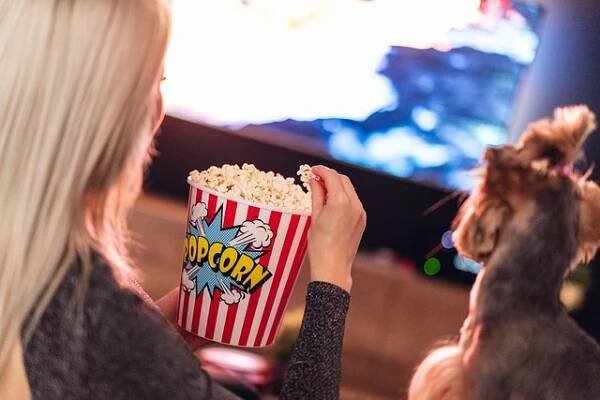 Filmové večery s přáteli: Tipy na výběr filmů a organizaci nezapomenutelných večerů