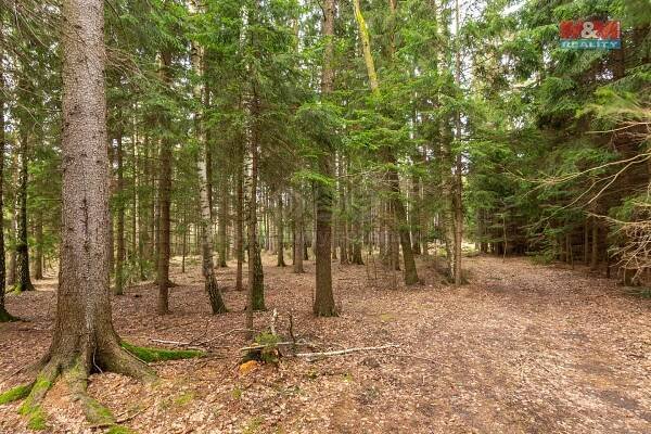 Prodej Pozemek, Vysočina - Možděnice, okres Chrudim
