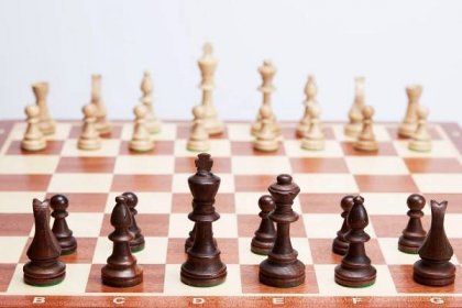 the pieces in a game of chess