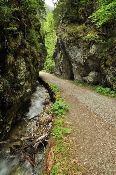 Túra: Bralnatá Gaderská dolina a hôľnatá Krížna | HIKING.SK