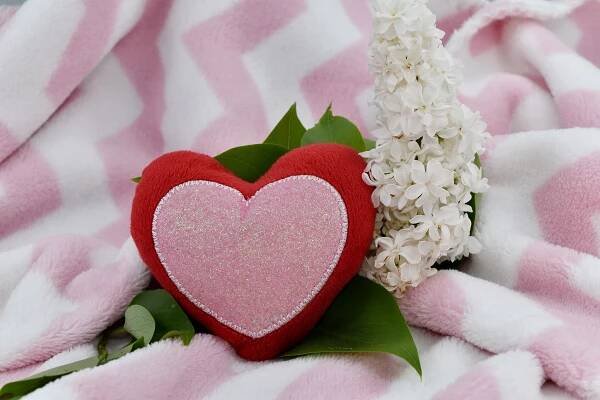 Bezplatný obrázek: náklonnost, deka, dekorace, srdce, tlukot srdce, lila, láska, manželství, vdaná, den svatého Valentýna