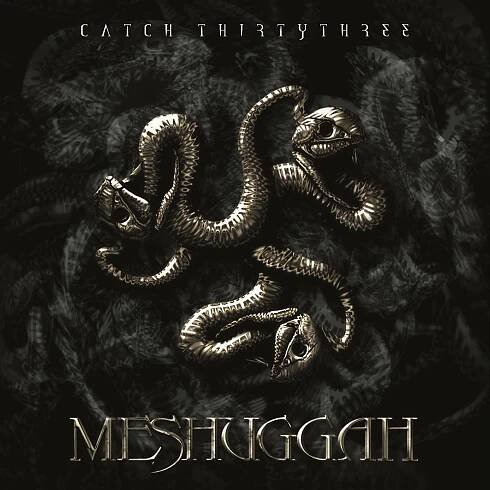 meshuggah catch thirtythree art