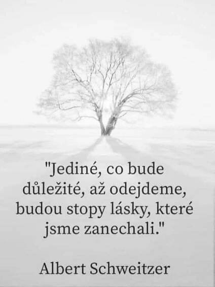 Pin by Laviassa on Citátky