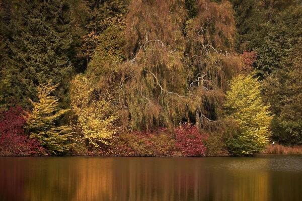 Den otevřených dveří v Arboretu Křtiny - MENDELU