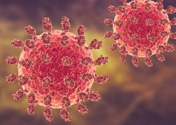 nipah je virus přenášený netopýry, který způsobuje akutní respirační syndromy a encefalitidu - encefalitida - stock snímky, obrázky a fotky