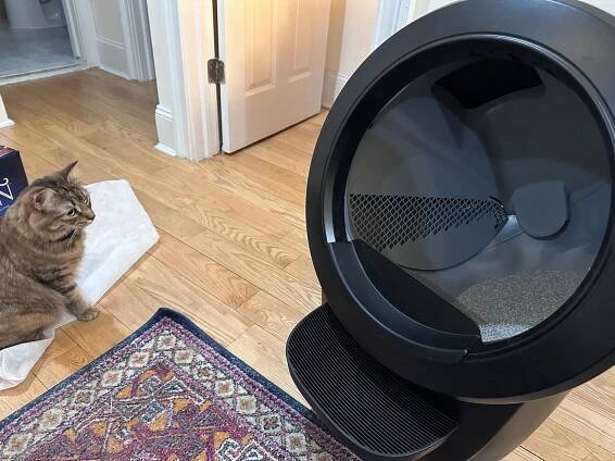 A cat looking at the Whisker Litter-Robot 4 on a floor