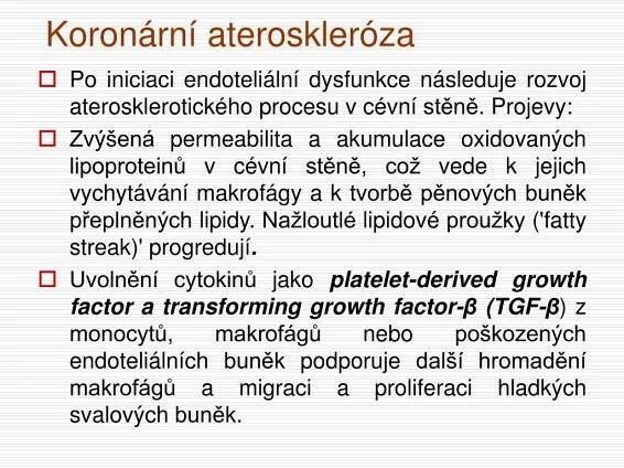 PPT - Kardiovaskulární systém PowerPoint Presentation, free download - ID:4071374