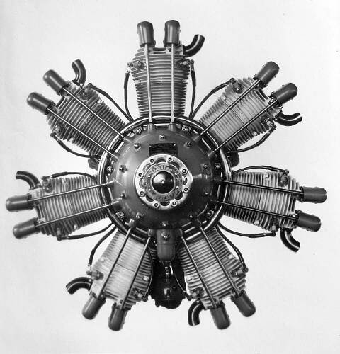Soubor:Walter Venus (1929) 1.jpg – Wikipedie
