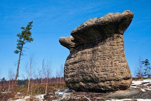 Skalní hřiby nad Martínkovicemi