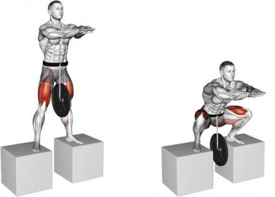 belt squat between boxes muscles used
