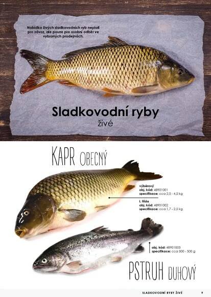 Kapr v akci