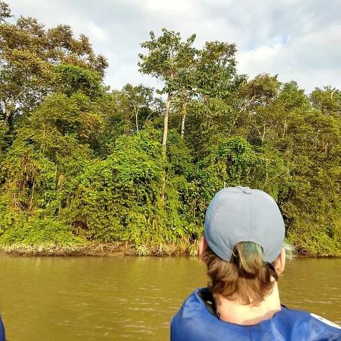 Orangutang spotting in Sabah