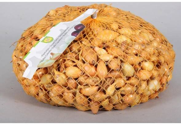 Cibule sazečka VŠETANA 500 g nakoupit u OBI