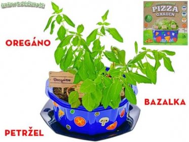 Grow&decorate vypěstuj si bylinky na pizzu - bylinky v PVC květináči s doplňky 6 + - mix variant či barev