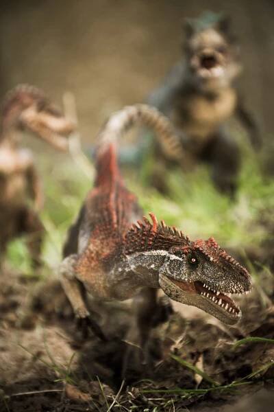 Palaeocast | Palaeontology podcasts