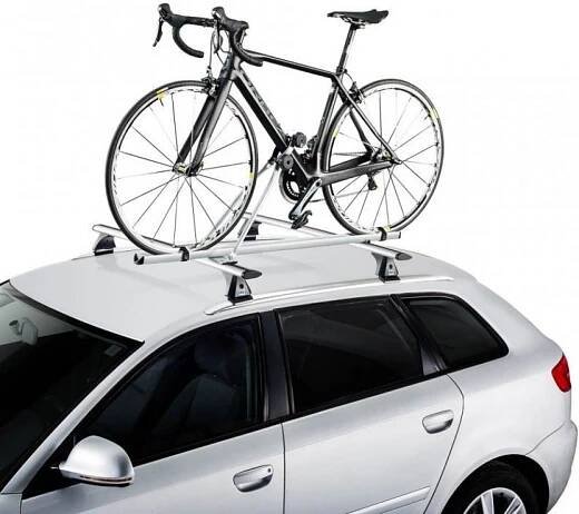 Cruz Alu-Bike