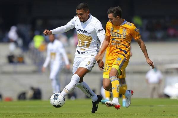 Pumas le dice adiós a su racha de victorias. – Deportes Bereavision