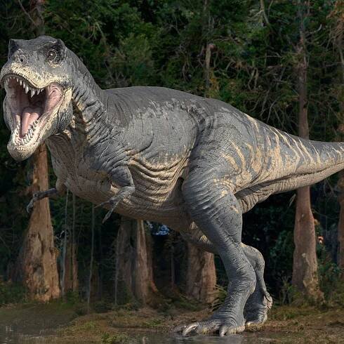 Why did T. rex have such tiny arms?