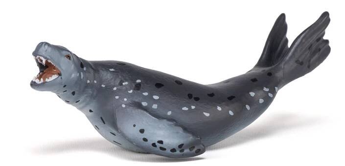 TULEŇ LEOPARDÍ