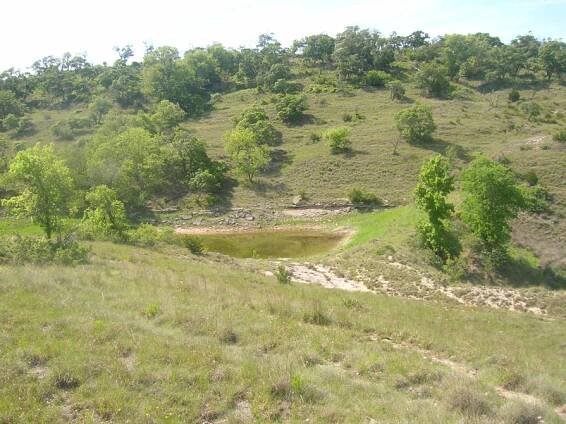 Hill Country Live Water Ranch | Kendall County, Texas | Thornton Ranch Sales