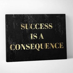 SUCCESS_IS_A_COSEQUENCE6