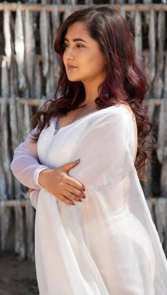 Rashami Desai’s Festive Glam in Ethnic Elegance