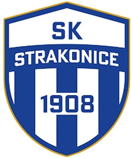 5. liga: Trenéři v kraji prezentují změny a plány do nové sezony, díl první | Články | Jihočeský fotbal