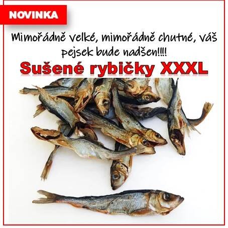 Vítá vás ten správný obchod pro pejsky - Cane Felice