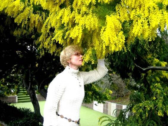 Mimosa: cesta do světa barev a vůní