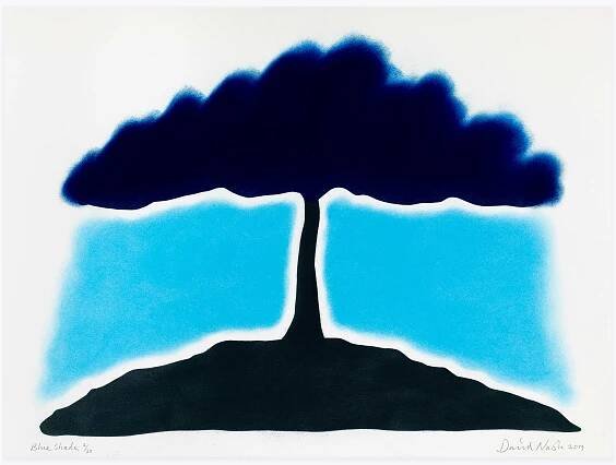David Nash - artiste - Galerie Lelong